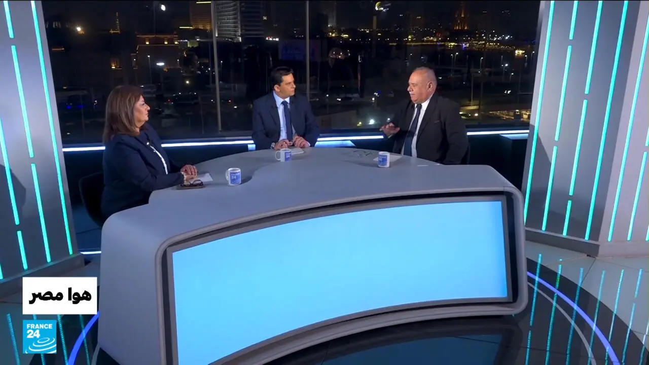 الكلاب الضالة في مصر: مخاوف متزايدة واستراتيجيات لمواجهتها